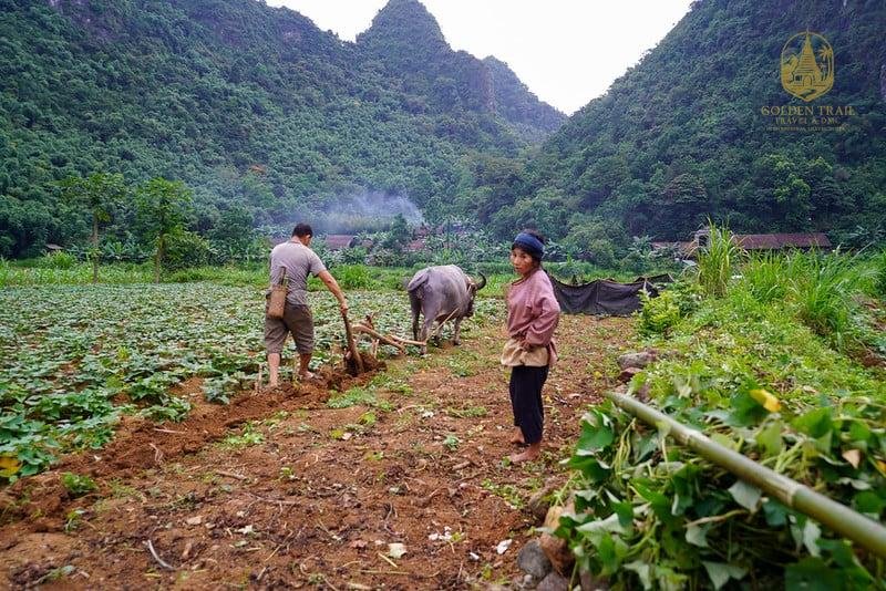 A Journey Through Time: Trekking Tours in Vietnam for the History Buff